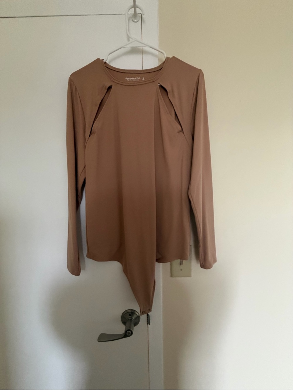 Abercrombie & Fitch Long-Sleeve Bodysuit in Mauve